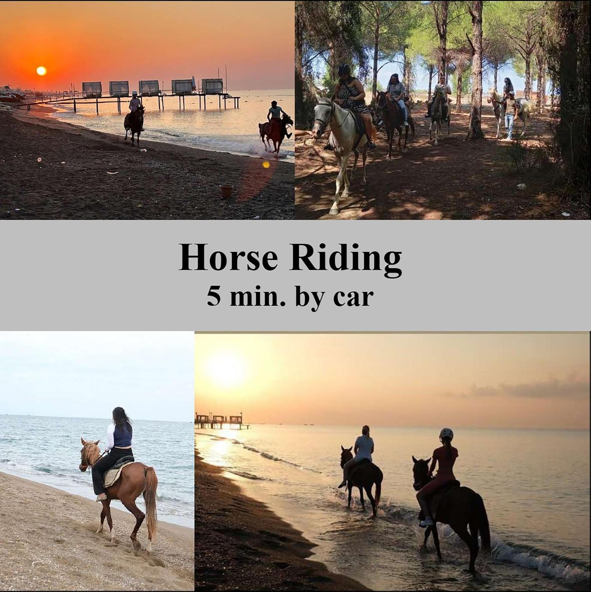 New Flats With Large Living Spaces Close To Lara Beach&kundu Entertaintment Center
